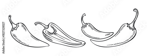 Hand drawn outline sketches of spicy chili peppers and a halved pepper revealing seeds, perfect for food blogs, recipes, and culinary promotion graphics