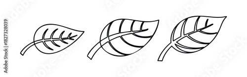 Three stylized leaf outlines in varying sizes and detail levels, perfect for use in nature themes, ecofriendly branding, or seasonal graphics promoting organic products.