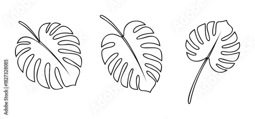 Set of three outline monstera leaves displayed in a row, perfect for nature themed graphics and botanical design projects