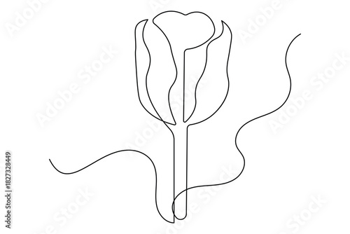 Flower tulip simple outline single line art illustration isolated design