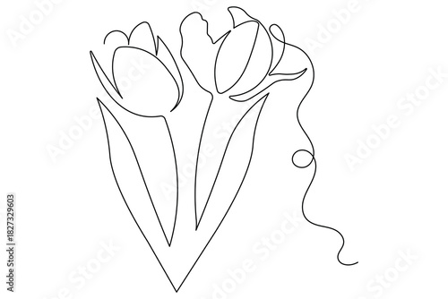 Tulip flowers continuous line drawing minimalist style isolate outline