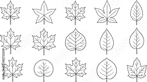 Set of Various Tree Leaves Black Outline Vector Illustrations, Including Maple and Aspen, Perfect for Autumn Decorations, Nature Guides, Coloring Pages, and Educational Materials.