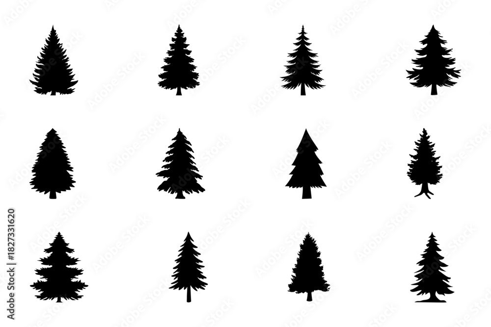 Obraz premium Pine trees silhouette set on white background. Symbol of pine tree. Set of black pine tree vector