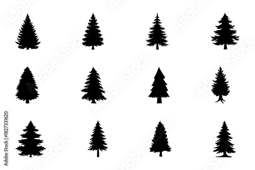 Pine trees silhouette set on white background. Symbol of pine tree. Set of black pine tree vector