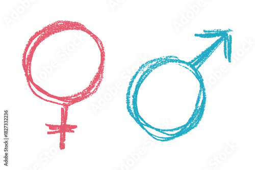 Hand drawn female and male gender identity sign Symbol used to represent sex and gender Single element for print, web, design, decor