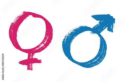 Hand drawn female and male gender identity sign Symbol used to represent sex and gender Single element for print, web, design, decor