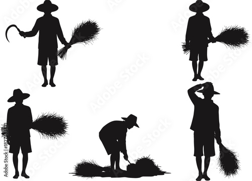 Asian Farmers Wearing Sun Hats Harvesting Rice or Wheat Crop Silhouettes Vector Illustration, Manual Agricultural Laborers Holding Sheaves and Sickles, Traditional Farming Background.