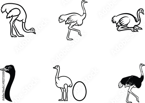 Ostrich Line Art Collection Black and White Vector Illustrations of Flightless Birds Emus and Their Eggs for Educational Resources and Creative Designs