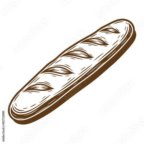 Hand drawn illustration of a fresh baguette bread in a sketch vintage style
