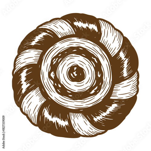 Hand drawn illustration of a stylized snail shell in a vintage sketch style with detailed texture