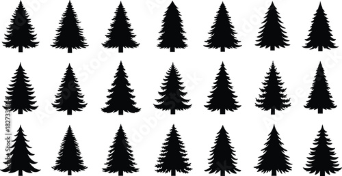Collection of detailed pine tree silhouettes, featuring various evergreen conifer shapes for forest design, nature illustrations, outdoor landscape elements, high-quality vector artwork