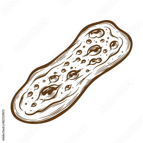 Hand drawn sketch illustration of a tasty pita bread loaf on white background
