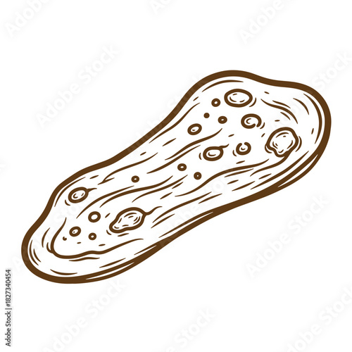 Hand drawn sketch vintage style illustration of a delicious rustic flatbread food item