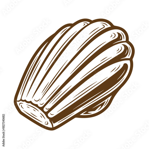 Illustration of a detailed sketch vintage clam shell isolated on a white background.