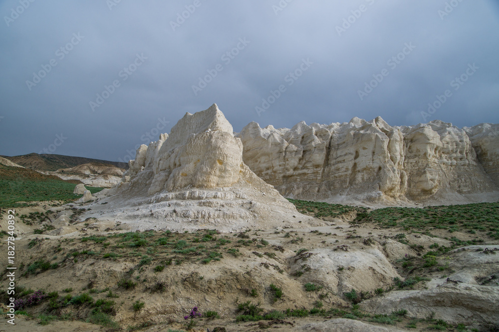 Fototapeta premium Ancient fossils. The floor of the ancient Tethys Ocean.