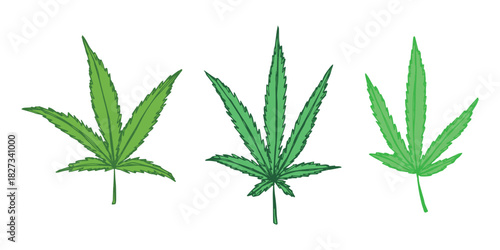 Set of hand drawn cannabis leaf Medicine marijuana Hemp leaves clipart in doodle style Single element for print, web, design, decor