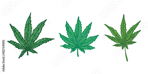 Set of hand drawn cannabis leaf Medicine marijuana Hemp leaves clipart in doodle style Single element for print, web, design, decor