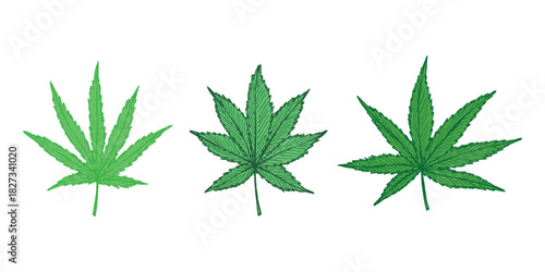 Set of hand drawn cannabis leaf Medicine marijuana Hemp leaves clipart in doodle style Single element for print, web, design, decor