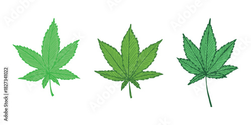 Set of hand drawn cannabis leaf Medicine marijuana Hemp leaves clipart in doodle style Single element for print, web, design, decor