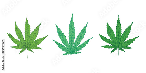 Set of hand drawn cannabis leaf Medicine marijuana Hemp leaves clipart in doodle style Single element for print, web, design, decor