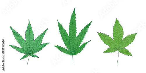 Set of hand drawn cannabis leaf Medicine marijuana Hemp leaves clipart in doodle style Single element for print, web, design, decor