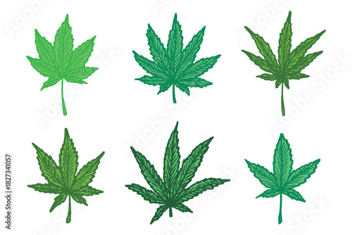 Set of hand drawn cannabis leaf Medicine marijuana Hemp leaves clipart in doodle style Single element for print, web, design, decor
