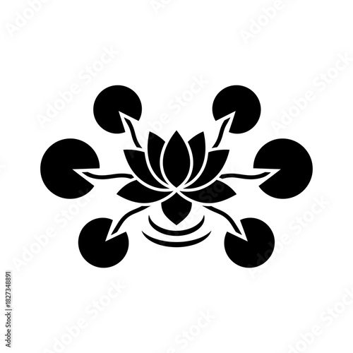 World Wetlands Symmetrical lotus flower with floating leaves top down view