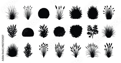 Grass and bush silhouettes. Different plant shapes. Isolated outdoor natural elements.