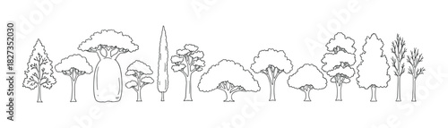 Set of diverse tree outlines including pine, baobab, cypress. Different shapes and sizes, natural landscape element.