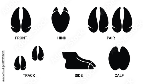 Deer hoof print types black silhouette set. Front hind pair track side calf animal footprints.