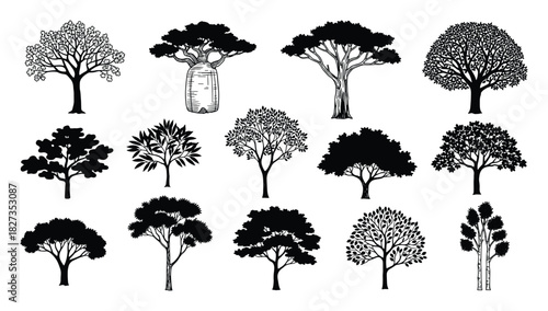 Diverse tree silhouettes. Various species shapes. Black forest collection. Nature design elements.