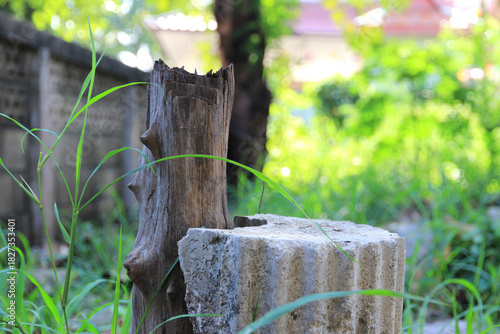 A big stump with a cut mark in a park.