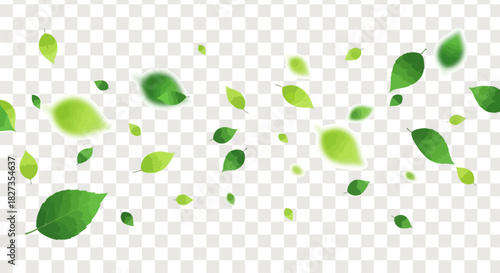 “Natural Green Leaf Artwork with Clear Transparent Background – Crisp, Modern Botanical PNG Illustration”