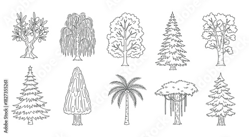 Outline set of different tree types. Various trees from forest and garden. Black and white drawings for nature design.
