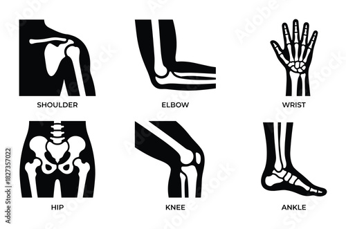 Human joints vector set showing shoulder elbow wrist hip knee and ankle bone structures