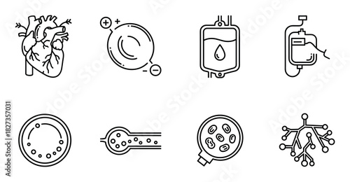 Human heart icon. Blood drop symbol. Cell biology. Medical science. Anatomy sign. Health care art.