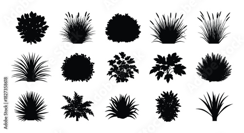 Set of various plants and bushes silhouettes. Black icons of different shrubbery and grass on white background.