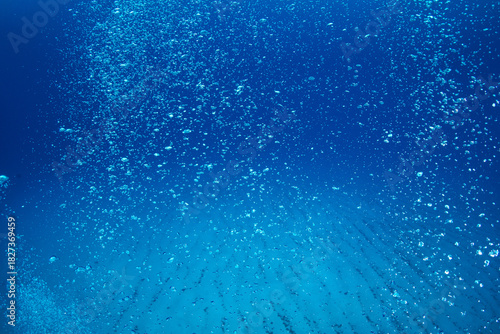 ダイバーの泡　小笠原