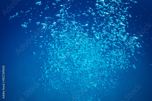 ダイバーの泡　小笠原