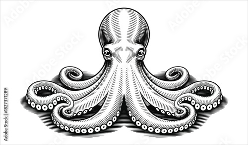 Detailed Octopus Vector - Antique Marine Specimen Drawing