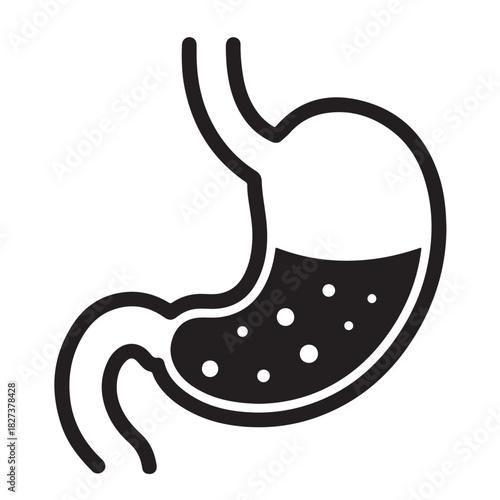 Human stomach vector icon simple glyph illustration of digestive organ isolated on white background