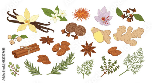 A diverse collection of aromatic cooking spices, fresh herbs, and nuts, including vanilla, ginger, saffron, cinnamon, rosemary, and almonds.