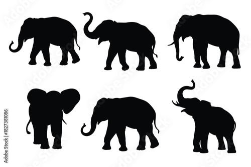 Set of elephant silhouettes in various poses