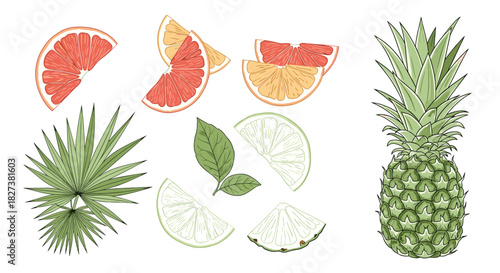 A vibrant collection of hand-drawn illustrations featuring tropical fruits like grapefruit, orange, lime, and a pineapple, alongside palm leaves.