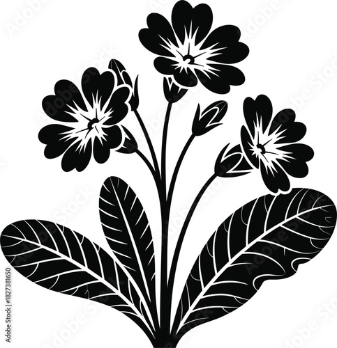 Black Silhouette of Primrose Flowers and Leaves on White Background floral botanical