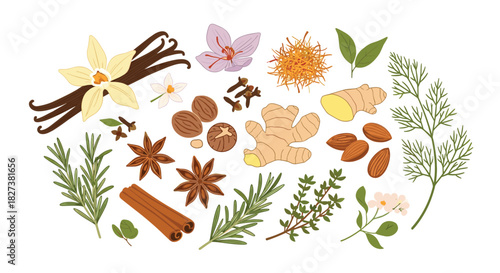 A diverse collection of fresh and dried culinary spices, aromatic herbs, nuts, and flavorful ingredients used for cooking and baking.