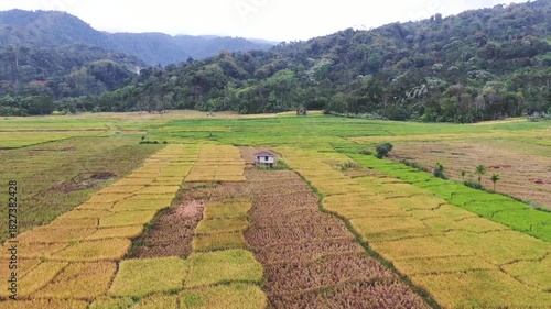 landscape with a green field