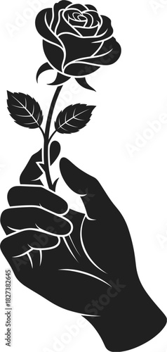 Silhouette of a hand holding a single rose on a white background flower stem
