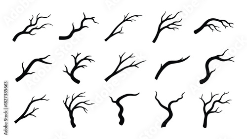 Bare tree branch silhouettes collection isolated on white background, Vector