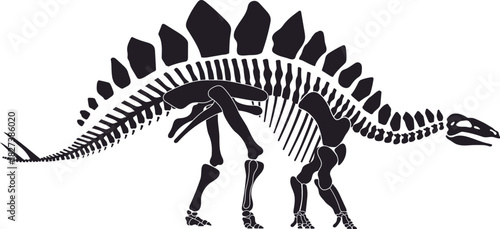 Stegosaurus dinosaur skeleton bones silhouette. Jurassic era lizard skeleton silhouette vector, prehistoric animal bones . Extinct dinosaur archaeological find or with back plates and spikes on tail